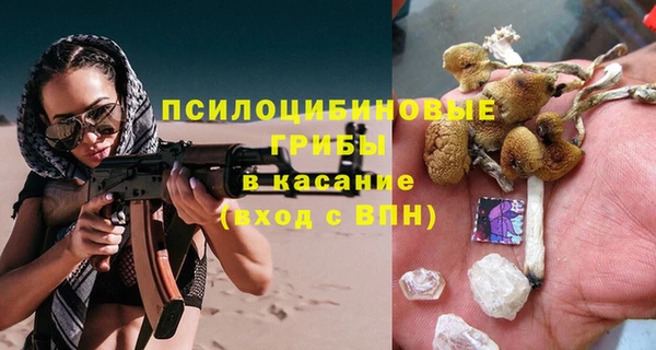 прущая мука Абаза